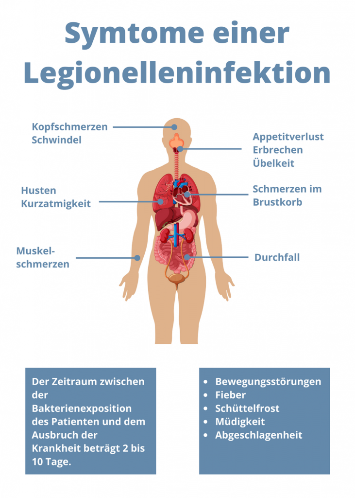 Grafische Darstellung der Bereiche im Körper, die Symptome bei einer Legionelleninfektion zeigen